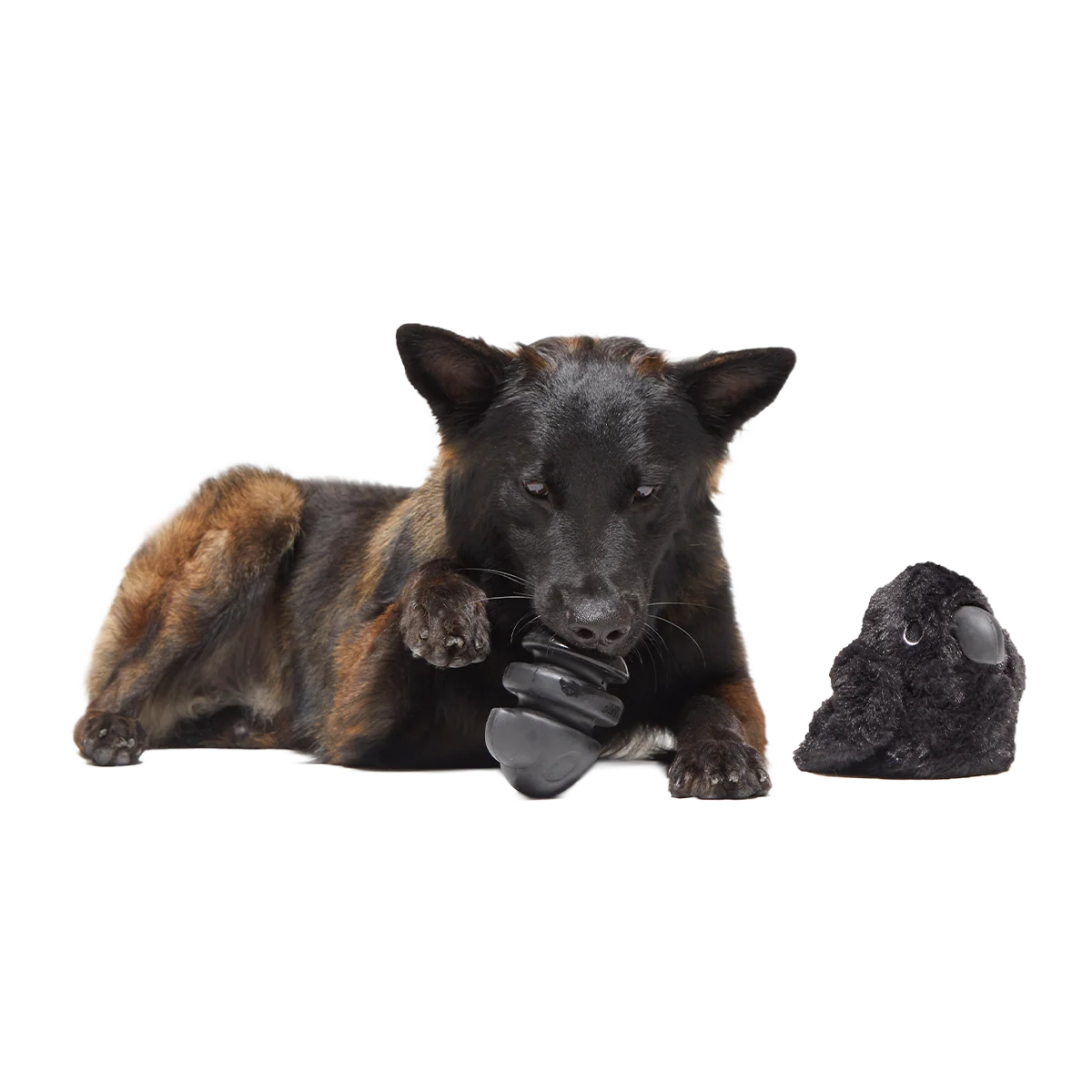 Throwth The Raven Super Chewer Durable 2-in-1 + Enrichment Dog Toy - Image 3