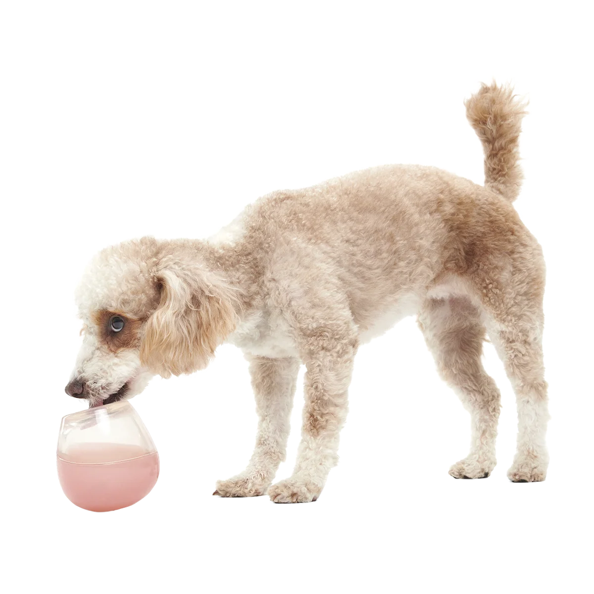 Tipsy Rose Super Chewer Durable Enrichment Dog Toy - Image 4