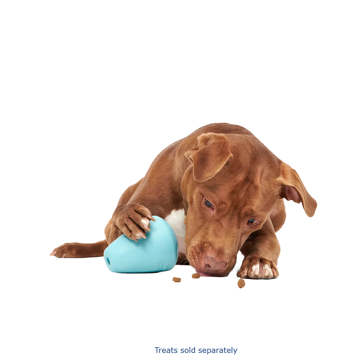 Titan Super Chewer Durable Enrichment Dog Toy - Image 3