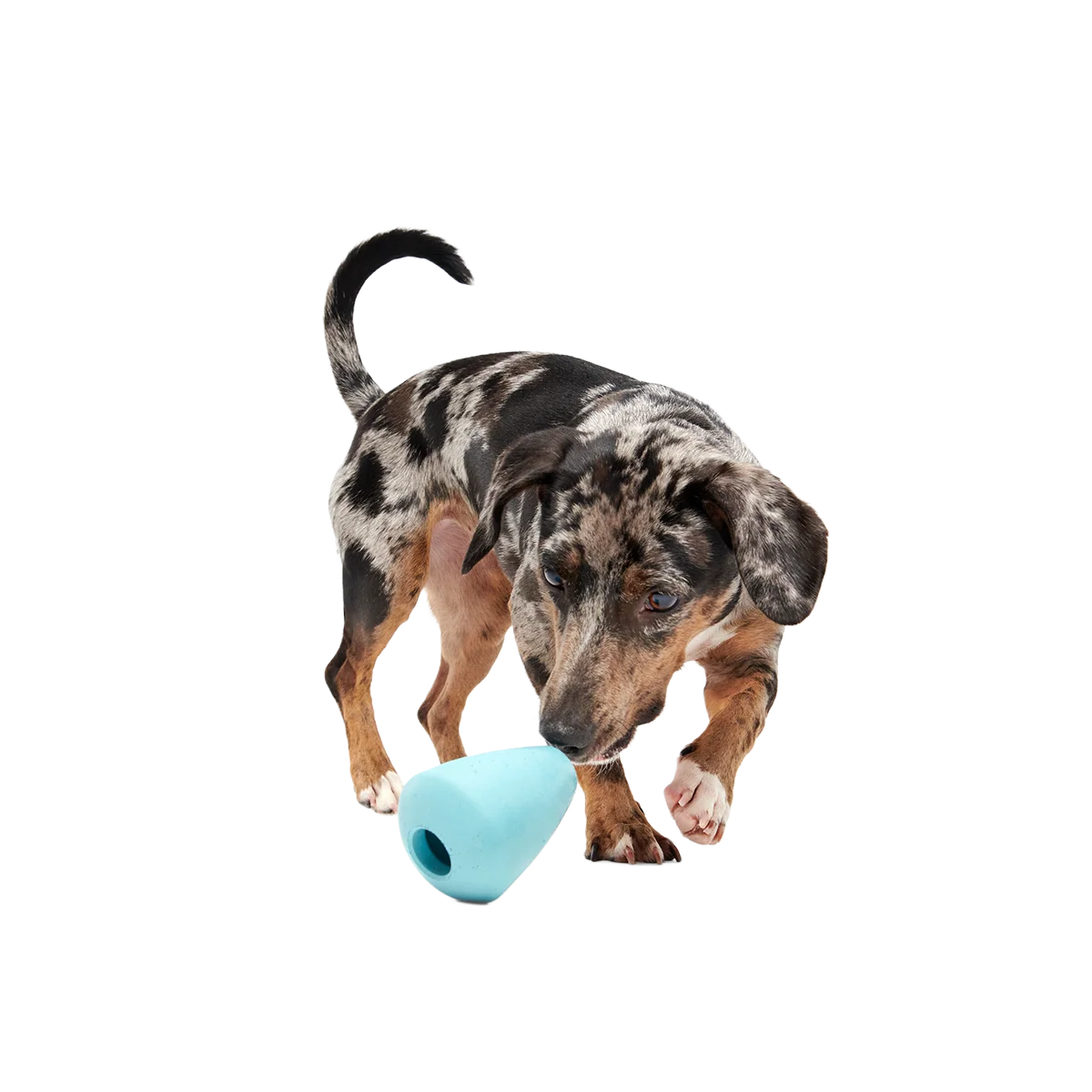 Titan Super Chewer Durable Enrichment Dog Toy - Image 6