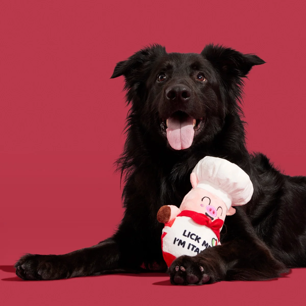 Tony Pupperoni Plush Tug Dog Toy - Image 2