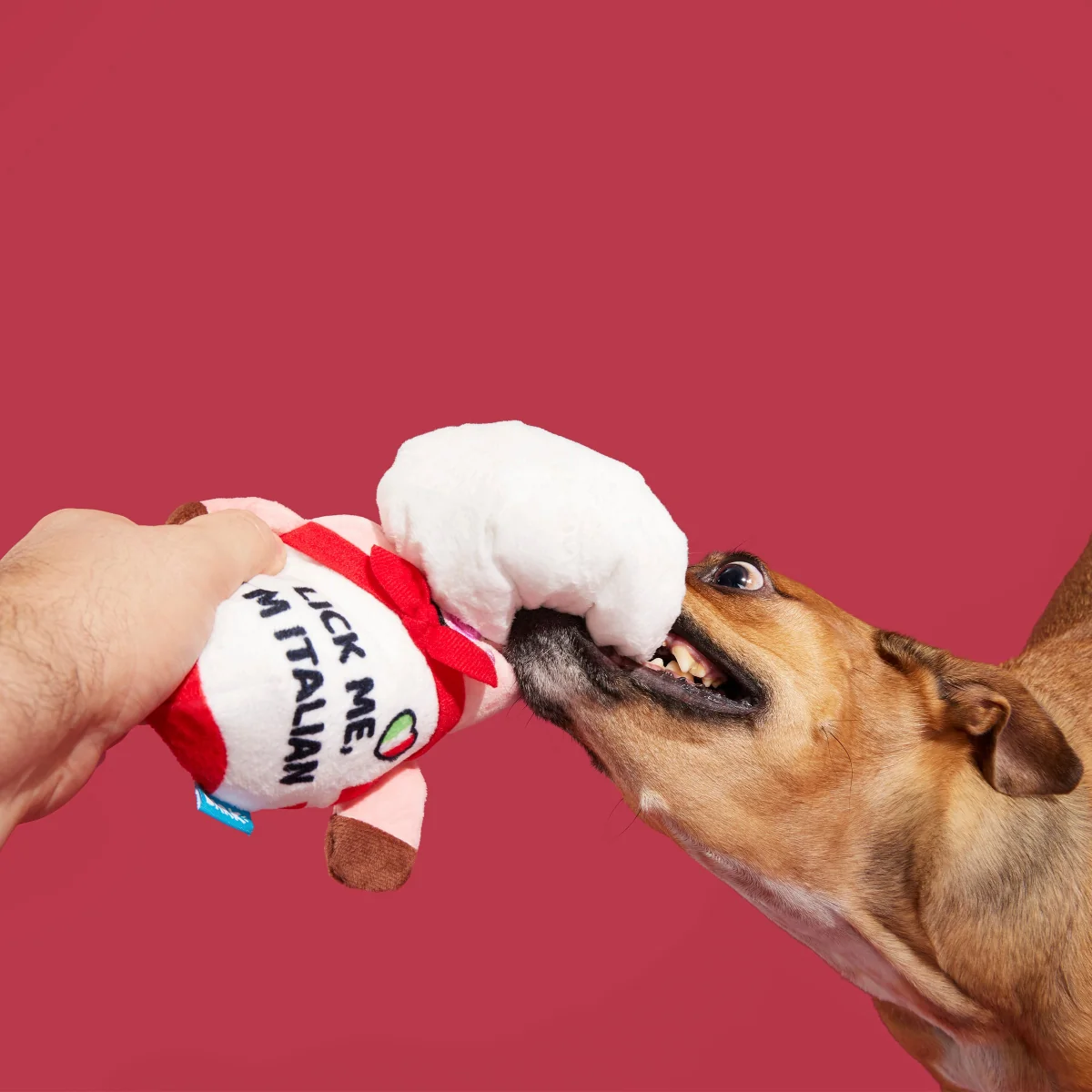 Tony Pupperoni Plush Tug Dog Toy - Image 3