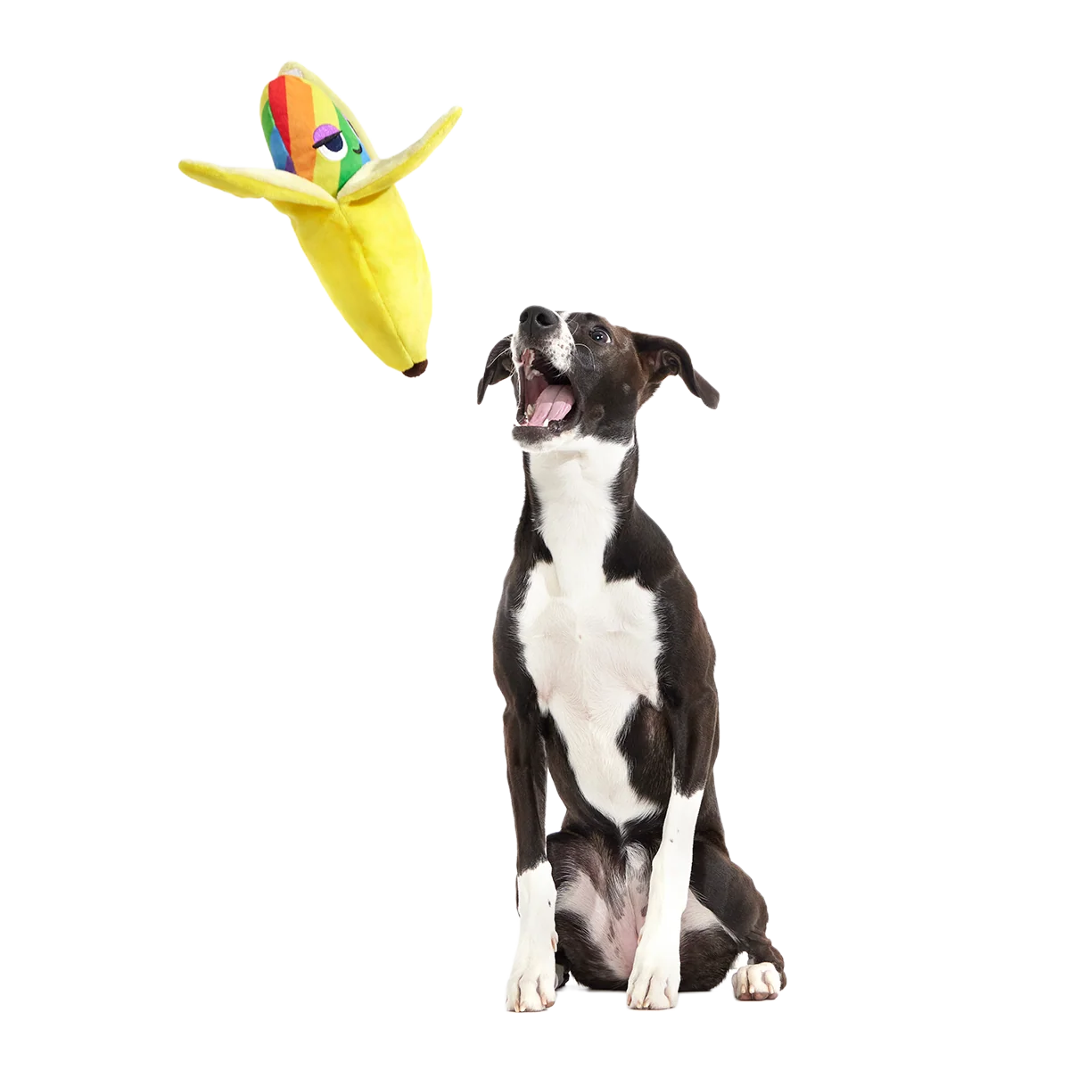 Top Banana Plush Multi-Part + Enrichment Dog Toy - Image 2
