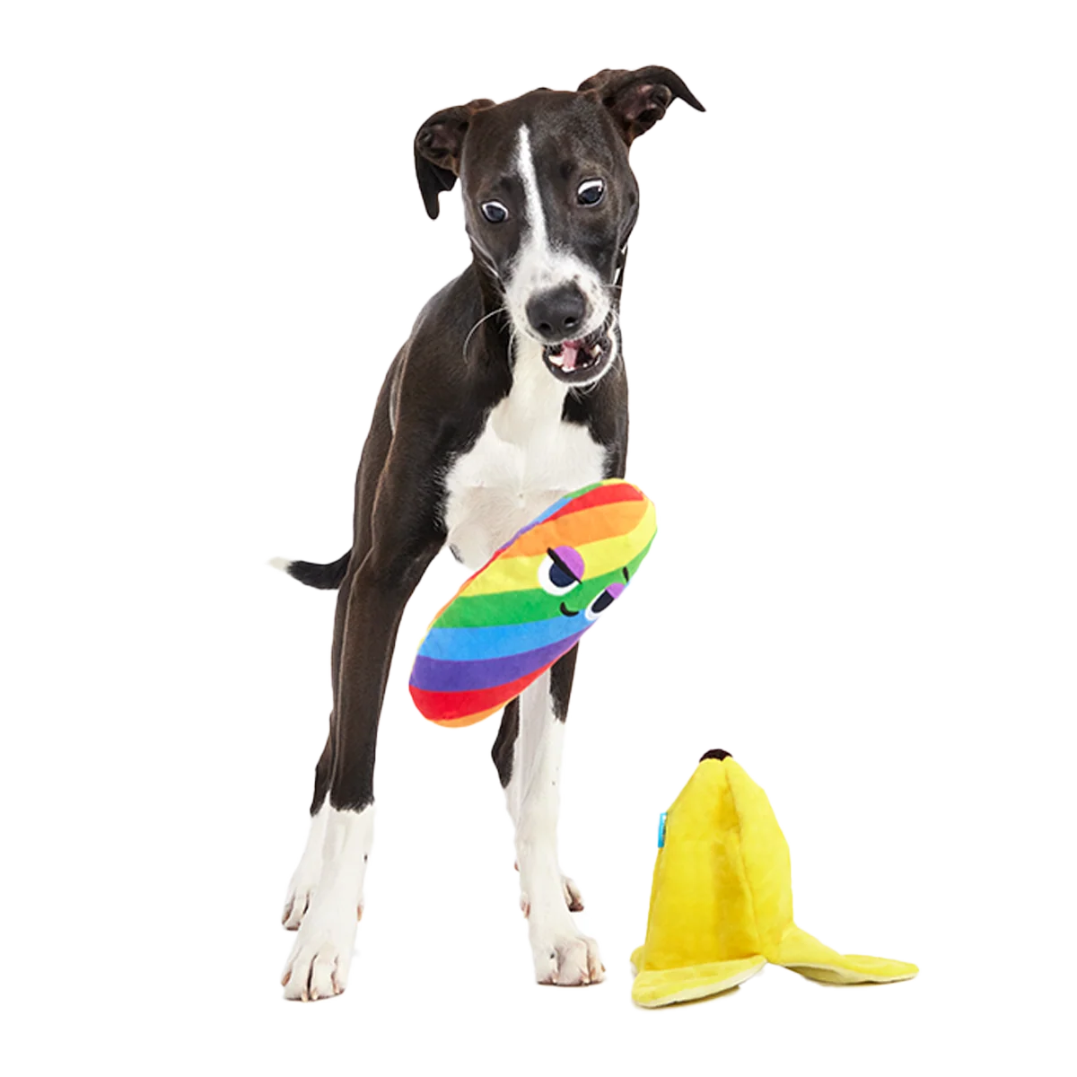 Top Banana Plush Multi-Part + Enrichment Dog Toy - Image 3