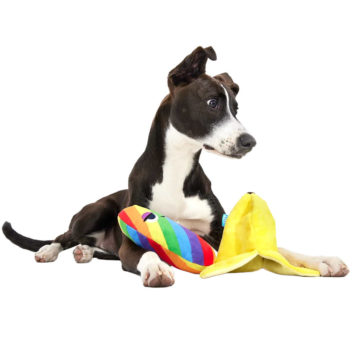 Top Banana Plush Multi-Part + Enrichment Dog Toy - Image 4