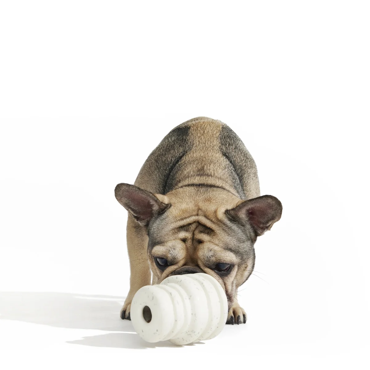 Tough Stuffed Cake Sweet Treater Super Chewer Durable Enrichment Dog Toy - Image 2
