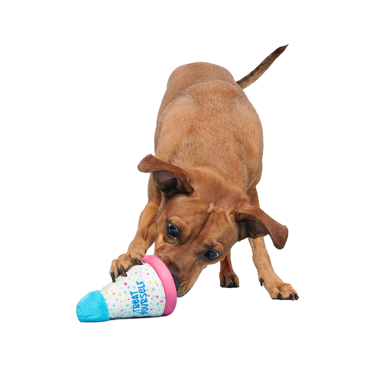Treat Yourself Party Hat Super Chewer Durable 2-in-1 + Enrichment Dog Toy - Image 3