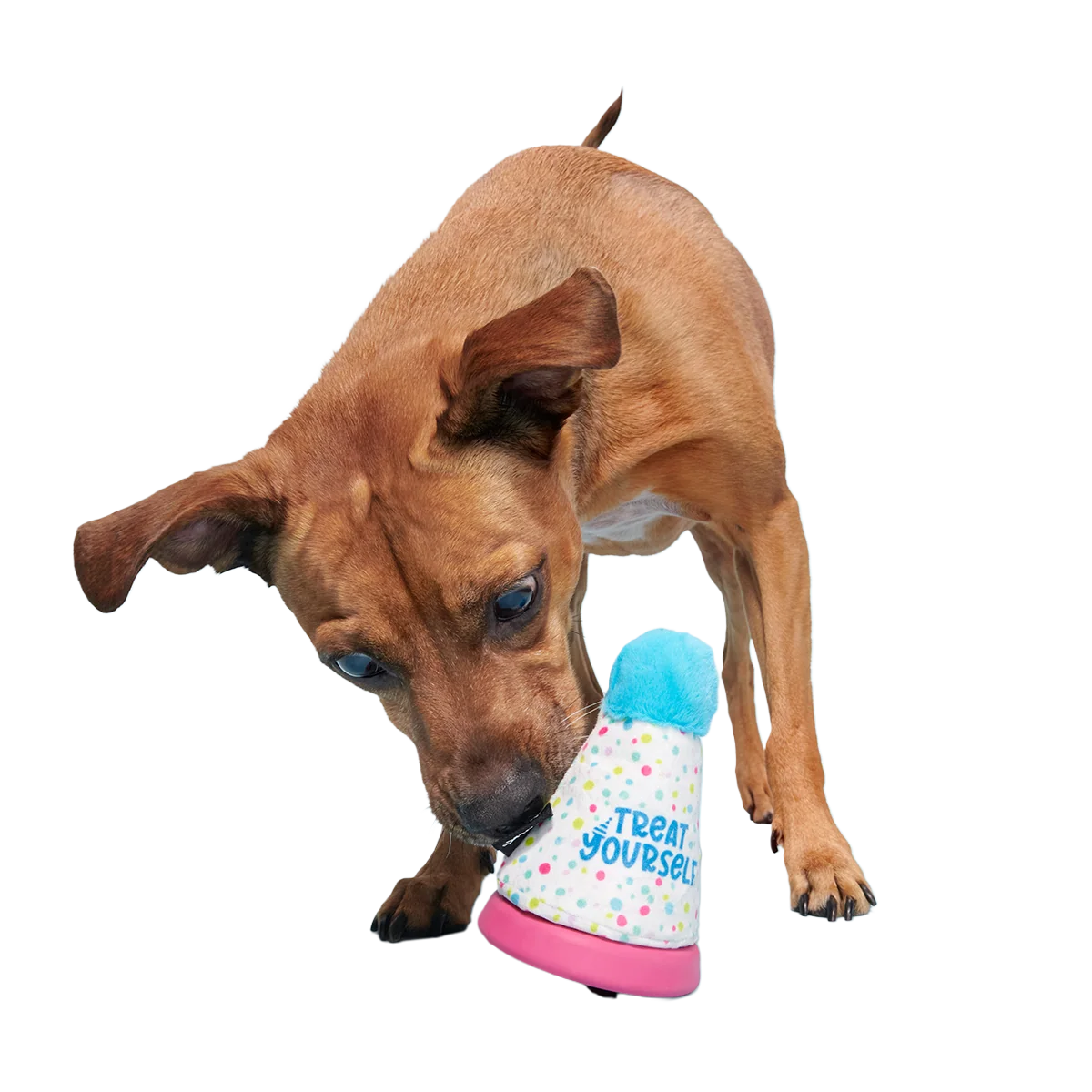 Treat Yourself Party Hat Super Chewer Durable 2-in-1 + Enrichment Dog Toy - Image 4
