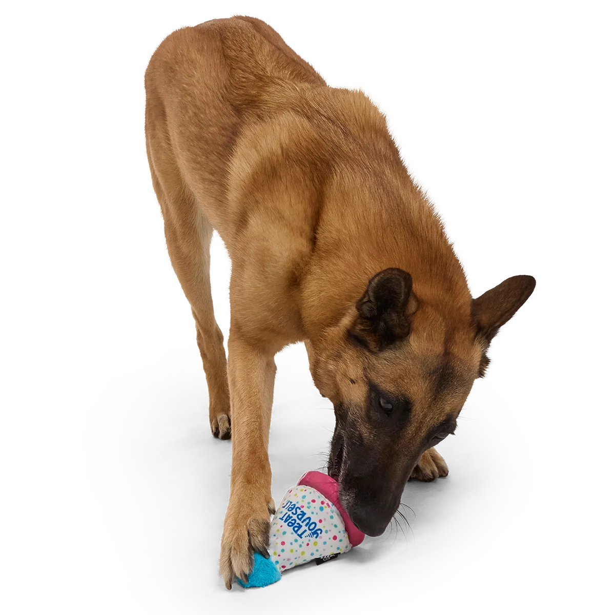 Treat Yourself Party Hat Super Chewer Durable 2-in-1 + Enrichment Dog Toy - Image 5