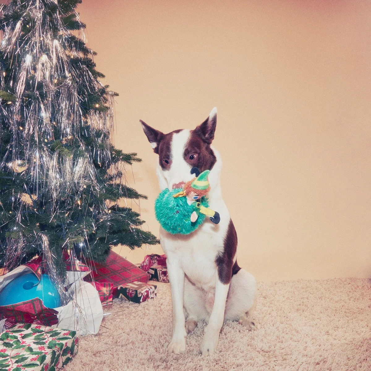 Tree Topper Buddy™ Plush Dog Toy - Image 4