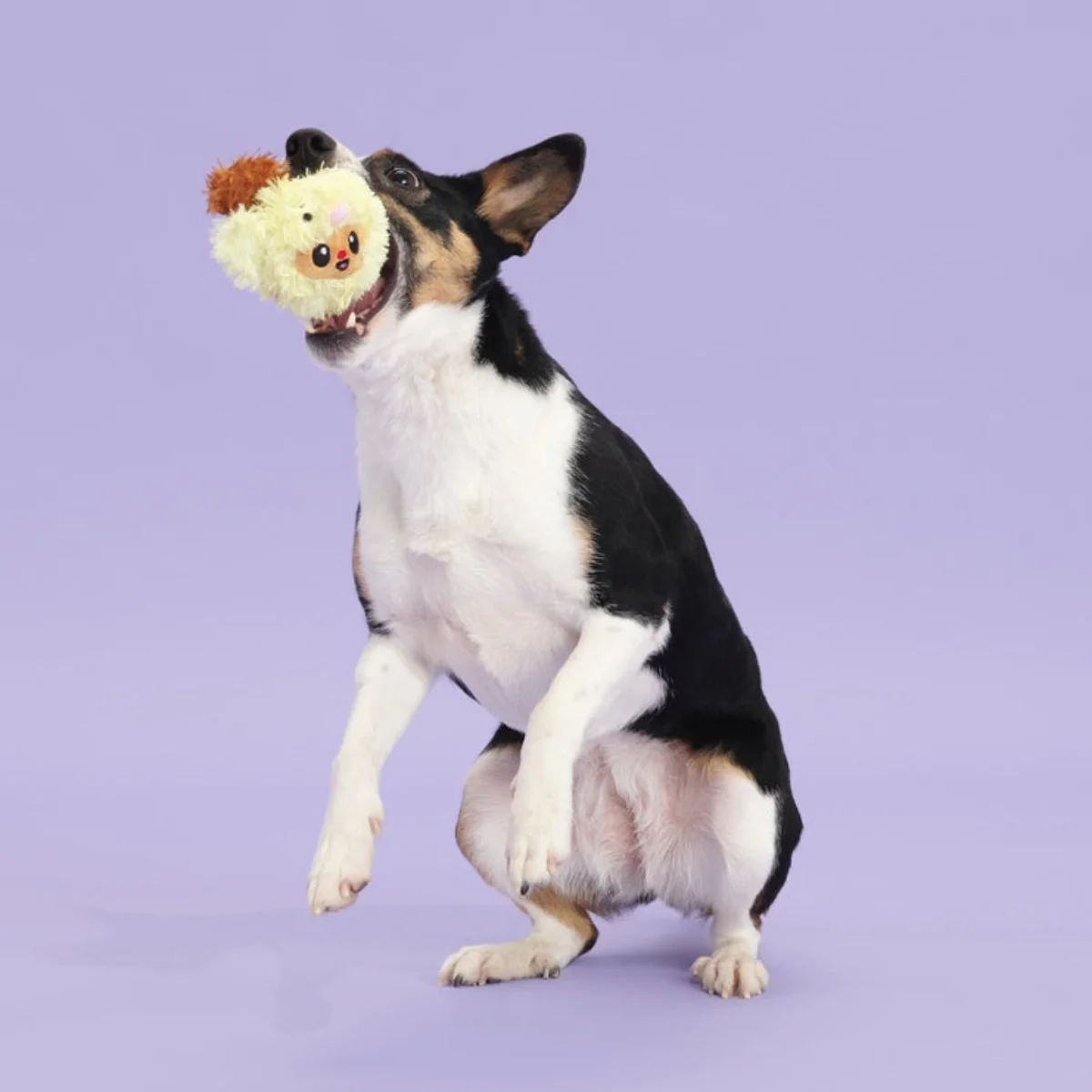 Trixie the Tricky Chicky Plush Fetch Dog Toy - Image 3
