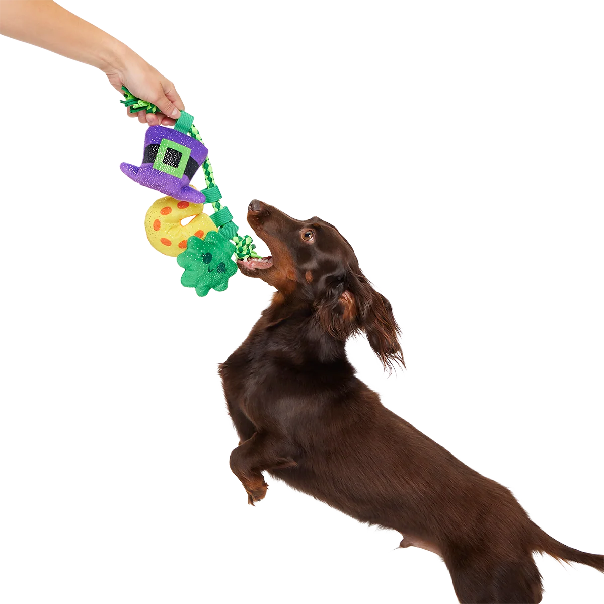 Tuggy Charms Plush Tug Dog Toy - Image 3