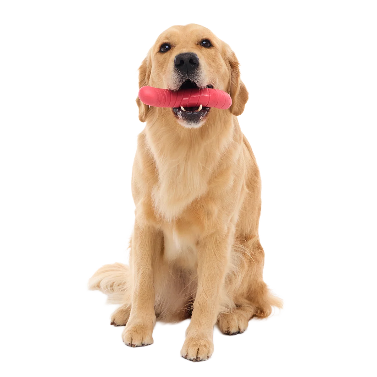 Turf Worm Super Chewer Durable Gnaw Dog Toy - Image 3