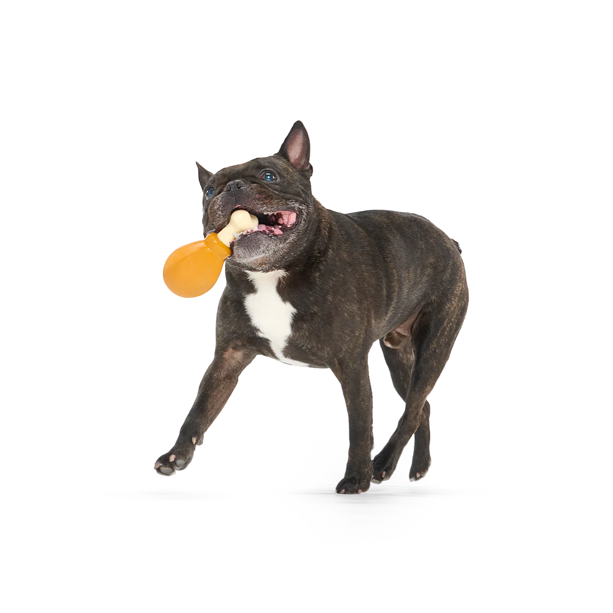 Turkey Day Drumstick Super Chewer Durable Gnaw Dog Toy - Image 2