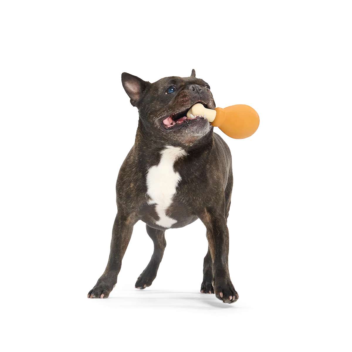 Turkey Day Drumstick Super Chewer Durable Gnaw Dog Toy - Image 4