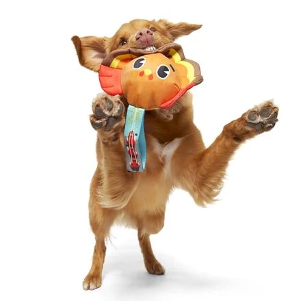 Turkey Tug Parade Durable Super Chewer Tug Dog Toy - Image 6