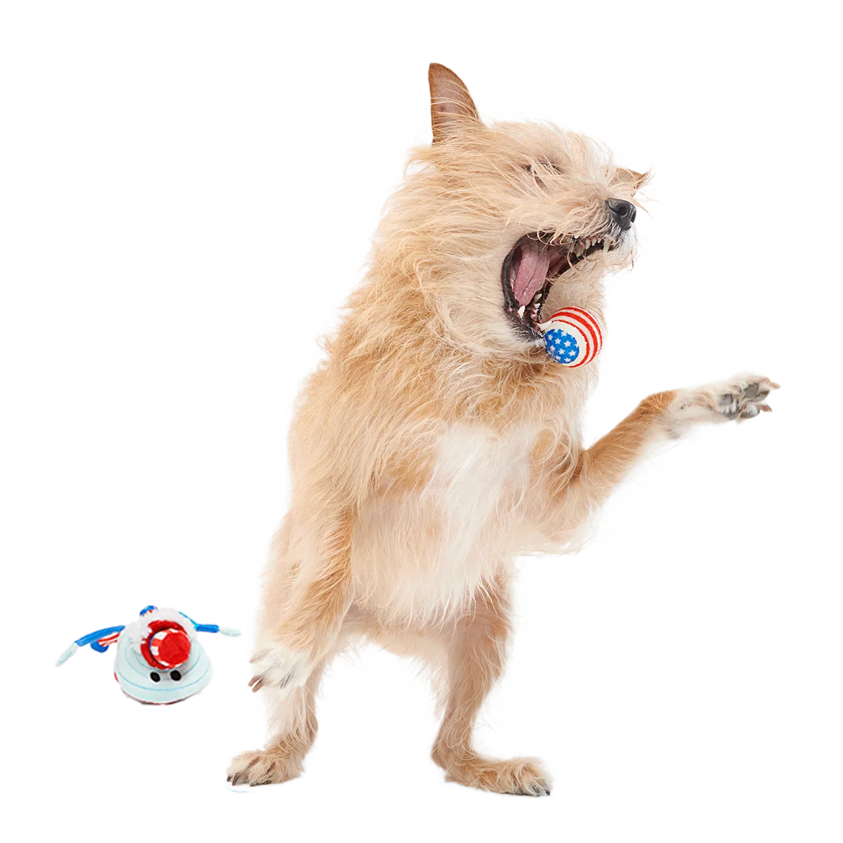 Uncle Clam Plush Multi-Part + Fetch + Enrichment Dog Toy - Image 2