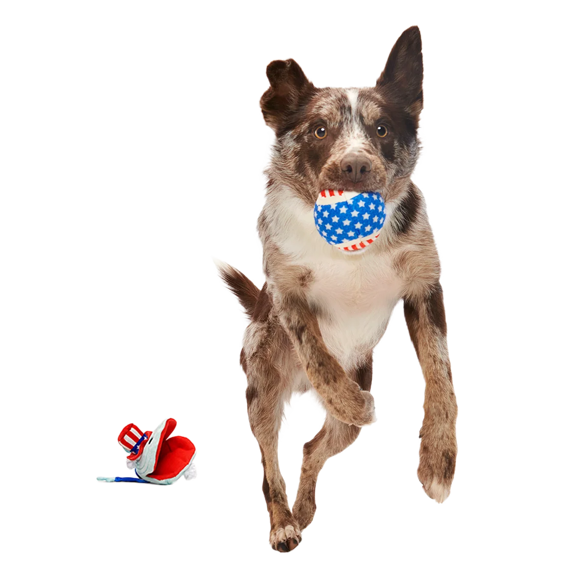 Uncle Clam Plush Multi-Part + Fetch + Enrichment Dog Toy - Image 5