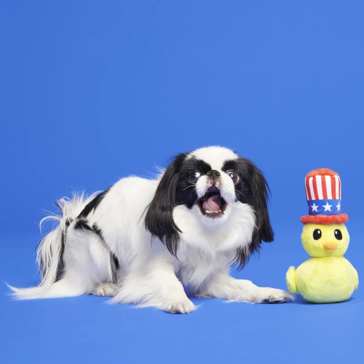 Uncle Duck Plush Dog Toy - Image 4