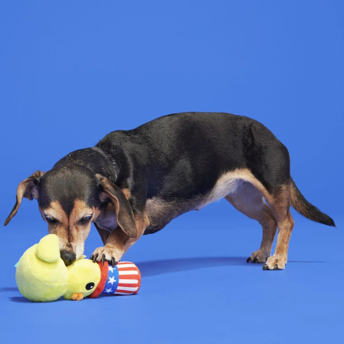 Uncle Duck Plush Dog Toy - Image 5