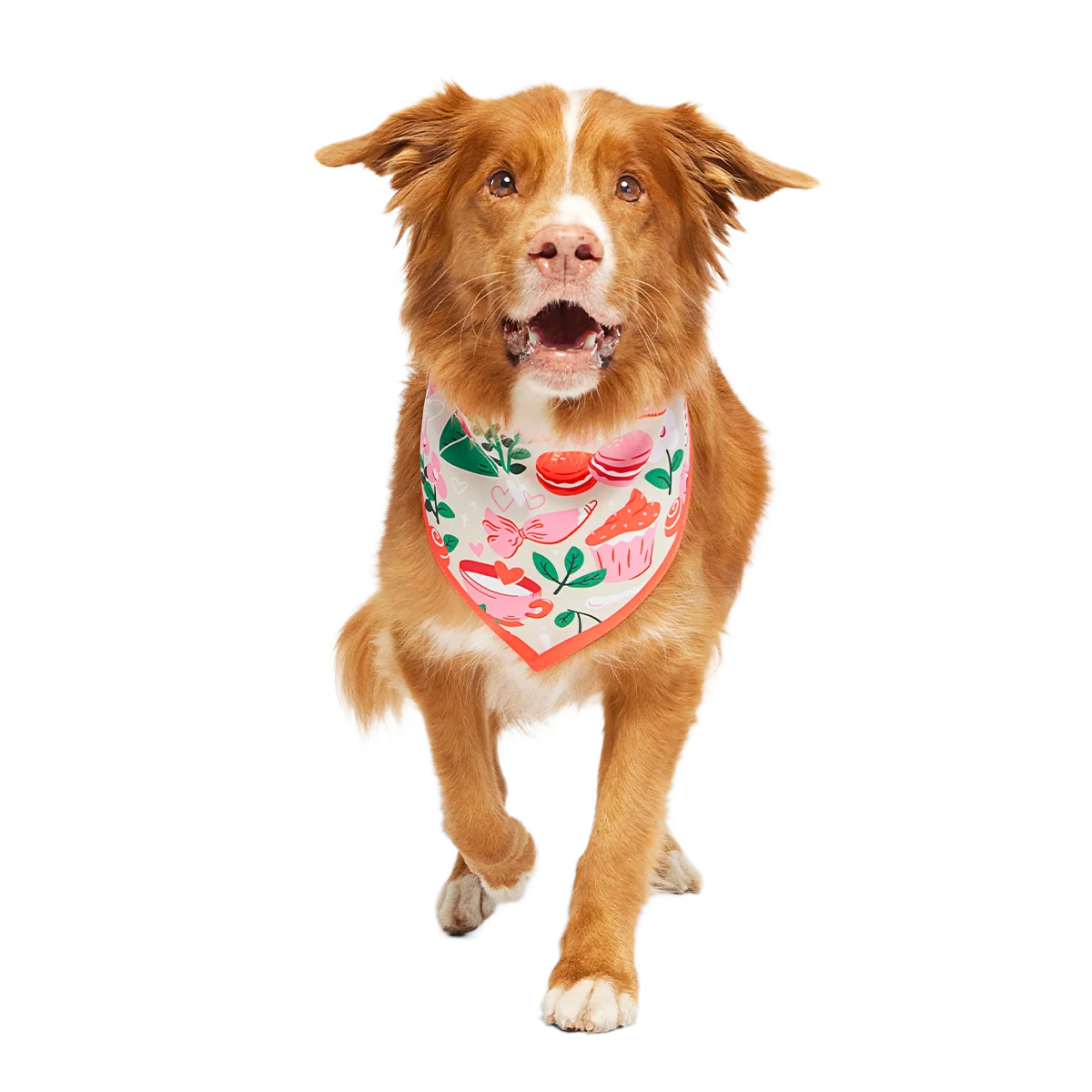 Valentine's Day Dog Bandana - Image 2