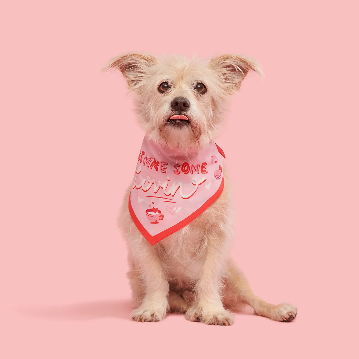 Valentine's Day Dog Bandana - Image 5