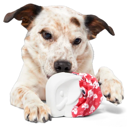 White Smellephant Durable Super Chewer 2-in-1 Rip and Reveal Dog Toy - Image 4