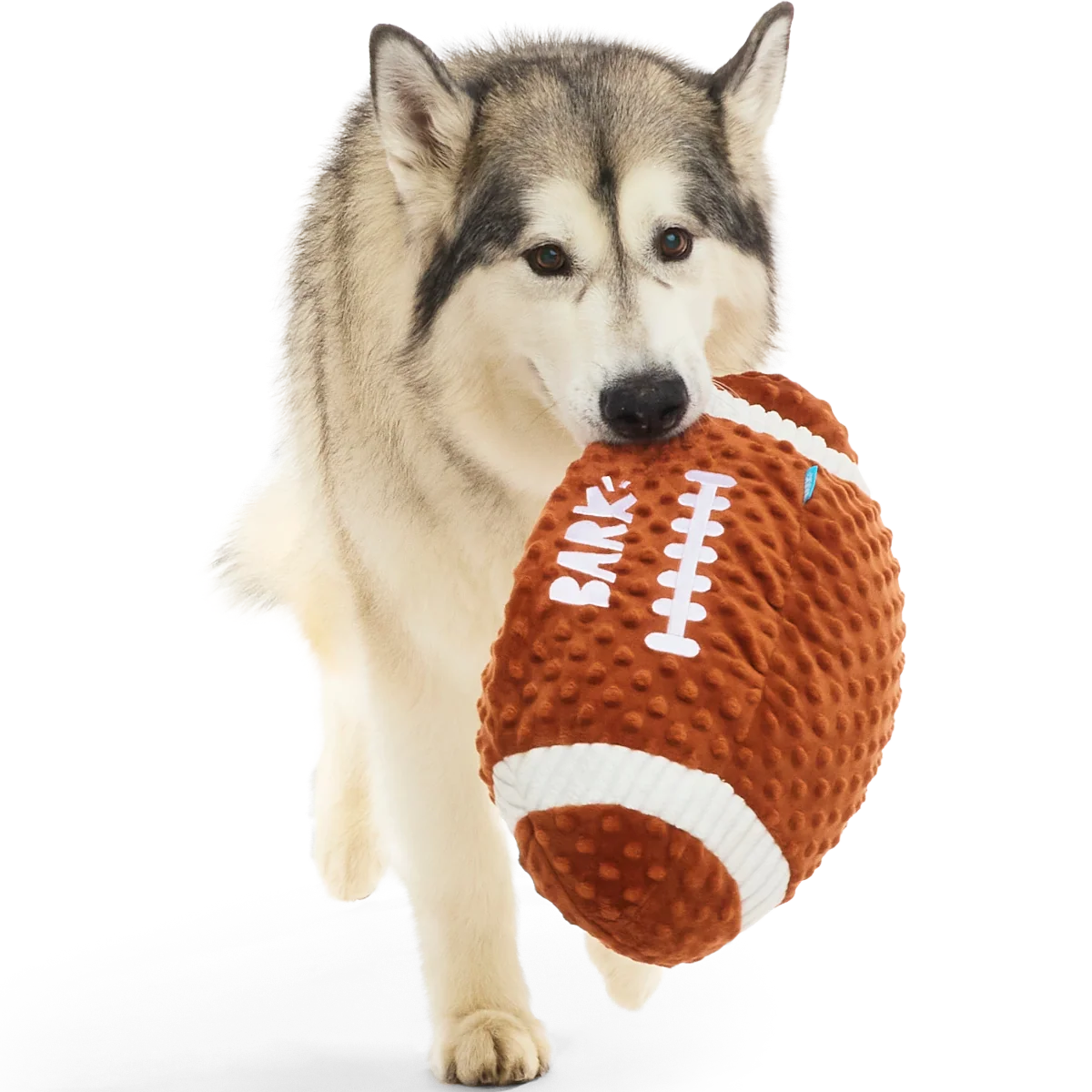 Wide Retriever Plush Extra-Large + Fetch Dog Toy - Image 2
