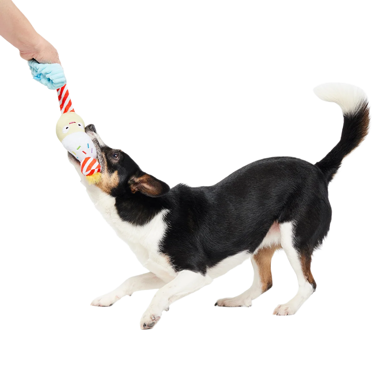 Wishful Tricia Plush Tug Dog Toy - Image 2