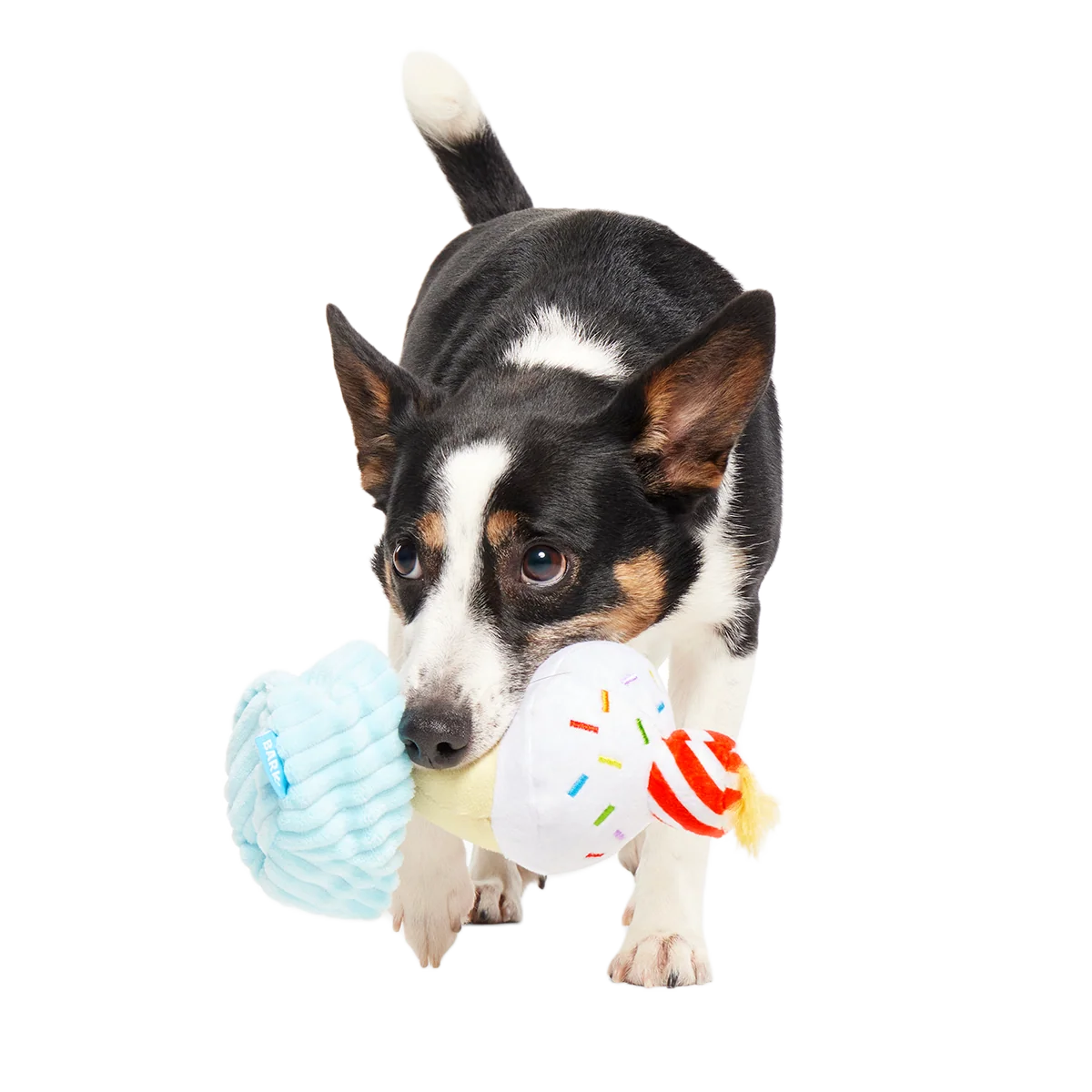 Wishful Tricia Plush Tug Dog Toy - Image 4