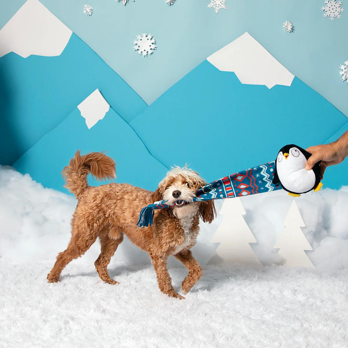 Wooly Willy Plush Tug Dog Toy - Image 3