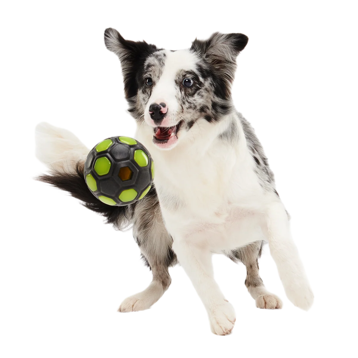 World Pup Snacker Ball Super Chewer Durable Enrichment + Fetch Dog Toy - Image 5