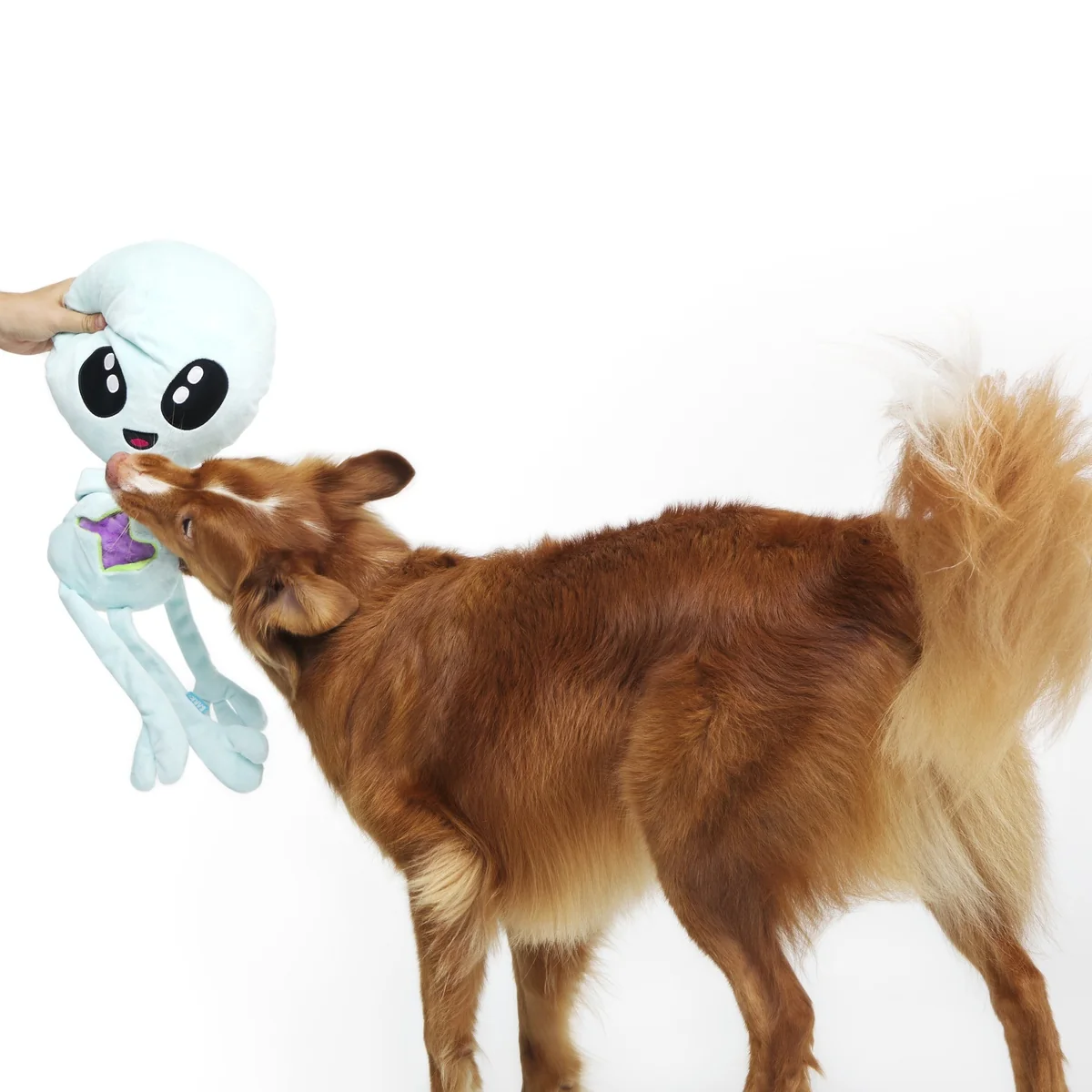 Extra-Large Toy Club, Monthly Plush XL Dog Toys - Image 3