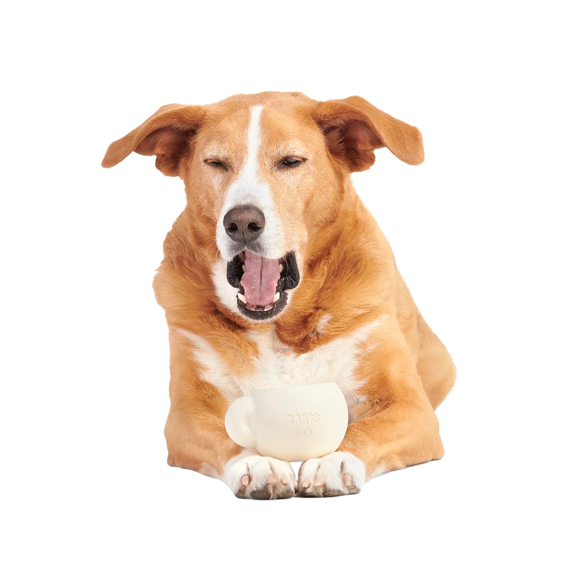 Yappucino Super Chewer Durable Enrichment Dog Toy - Image 5