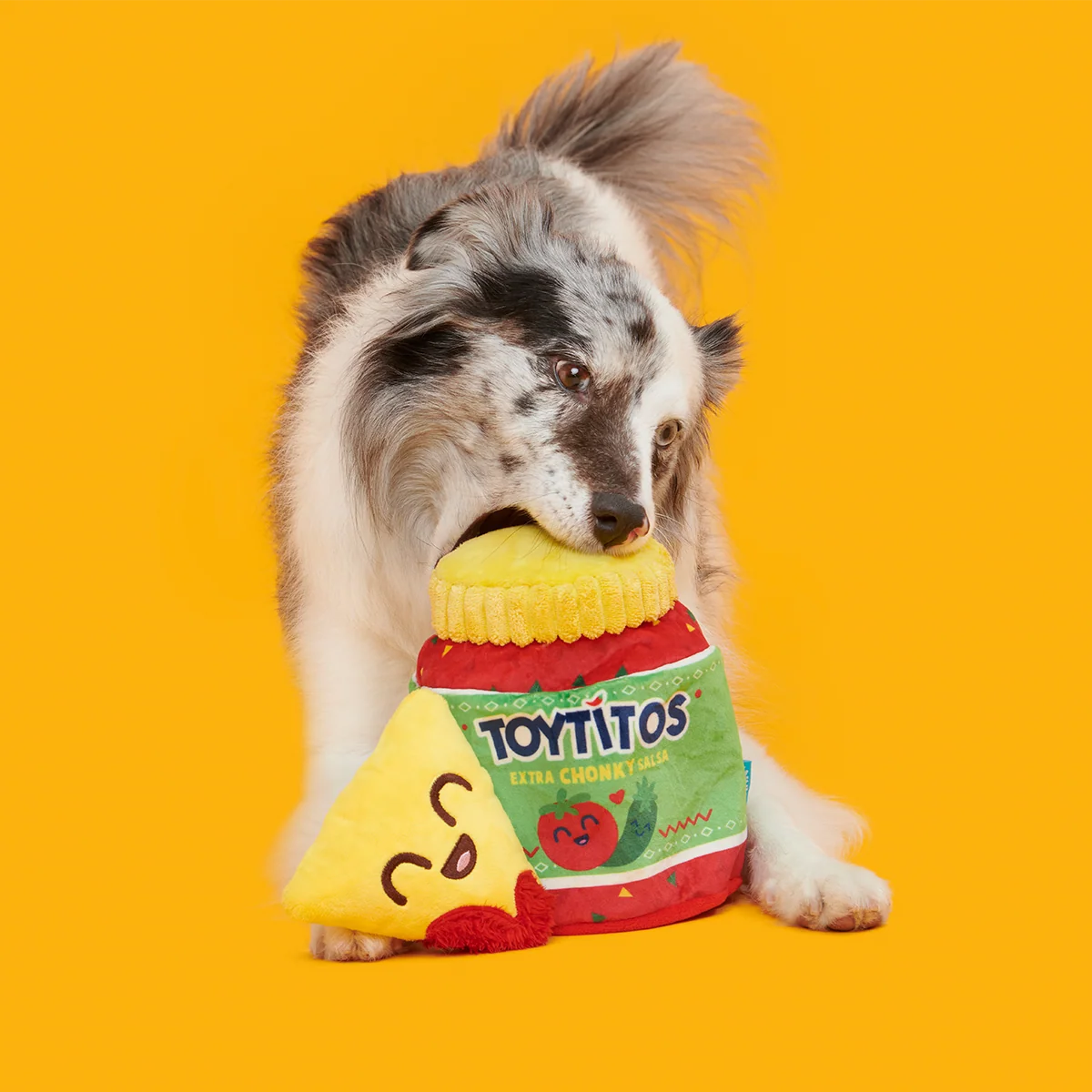 Yip & Salsa Plush Multi-Part + Enrichment Dog Toy - Image 4
