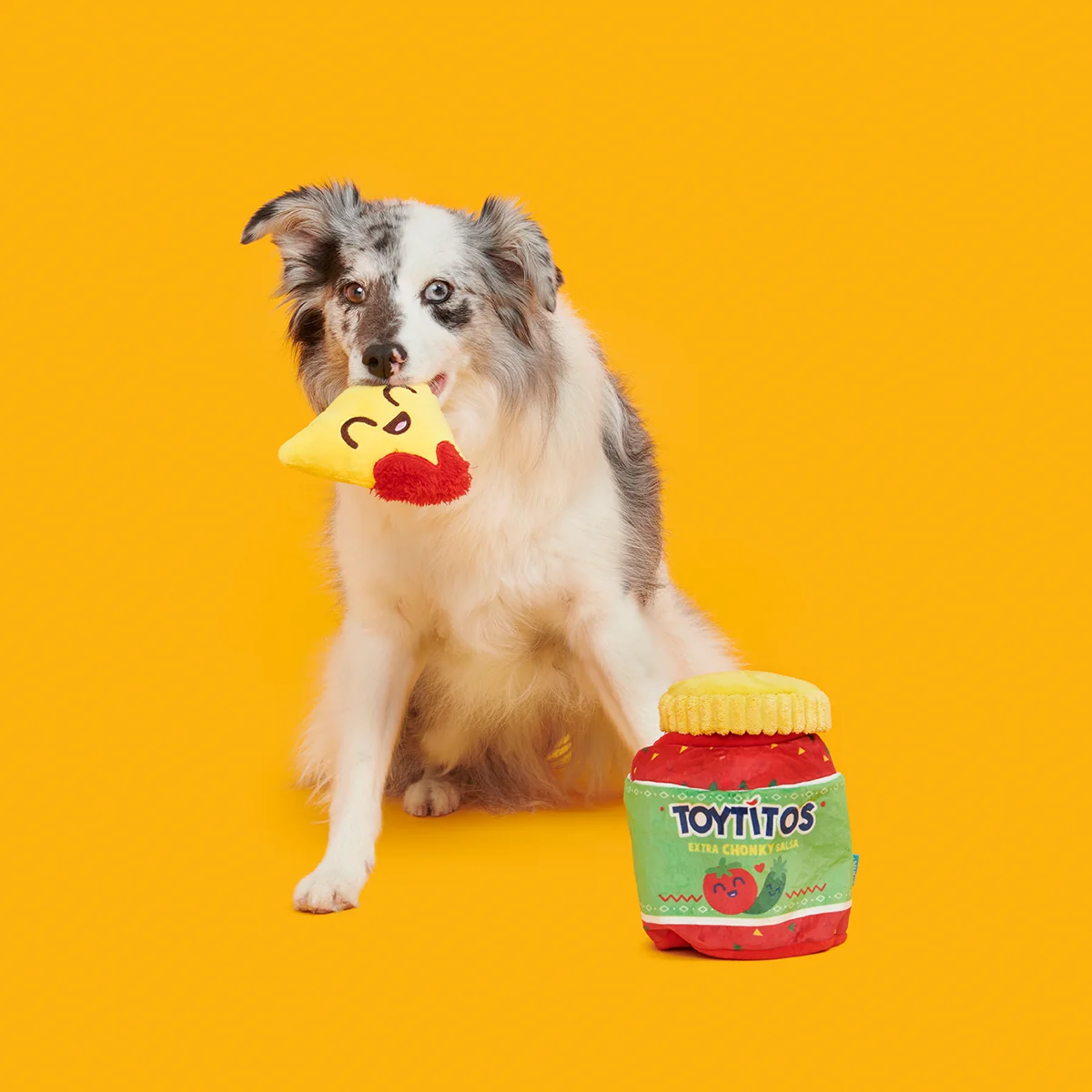 Yip & Salsa Plush Multi-Part + Enrichment Dog Toy - Image 5