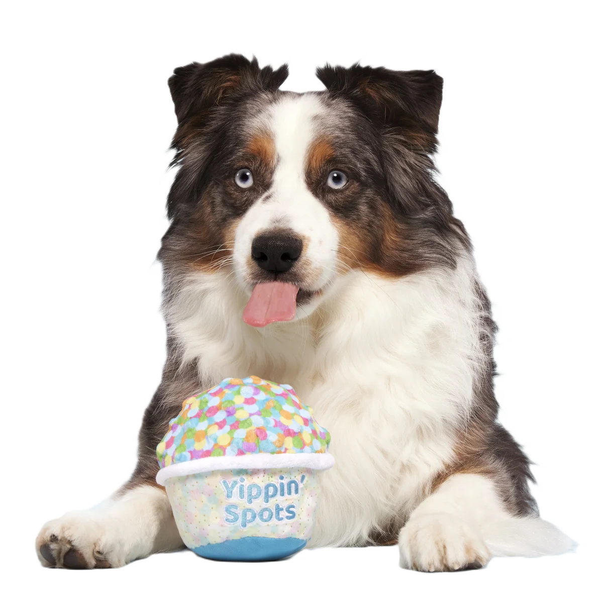 Yippin' Spots Ice Cream Plush Fetch Dog Toy - Image 2