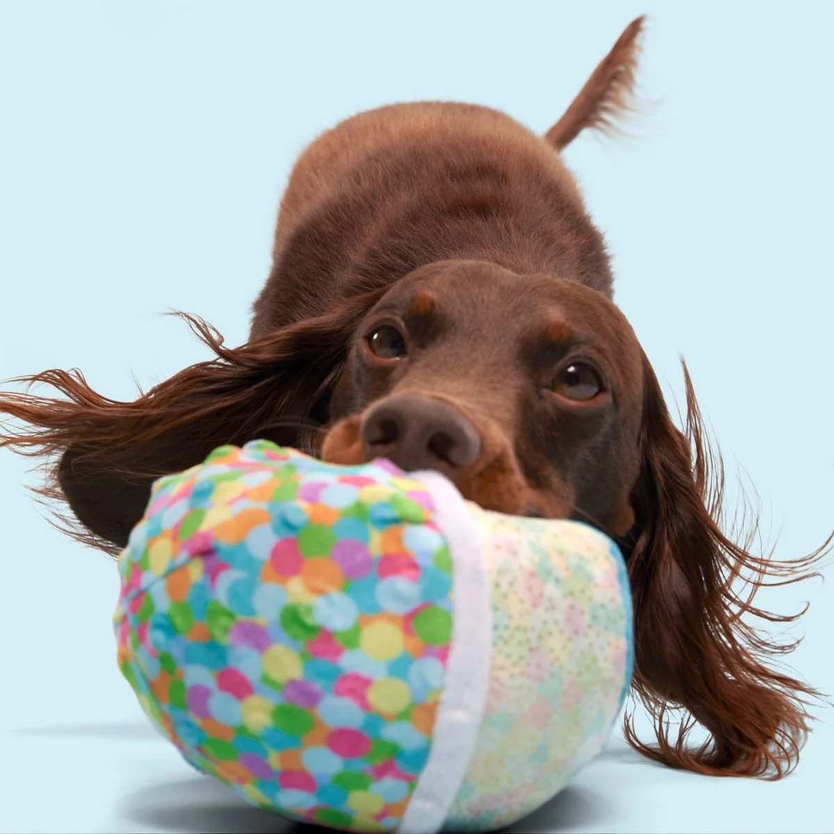 Yippin' Spots Ice Cream Plush Fetch Dog Toy - Image 4