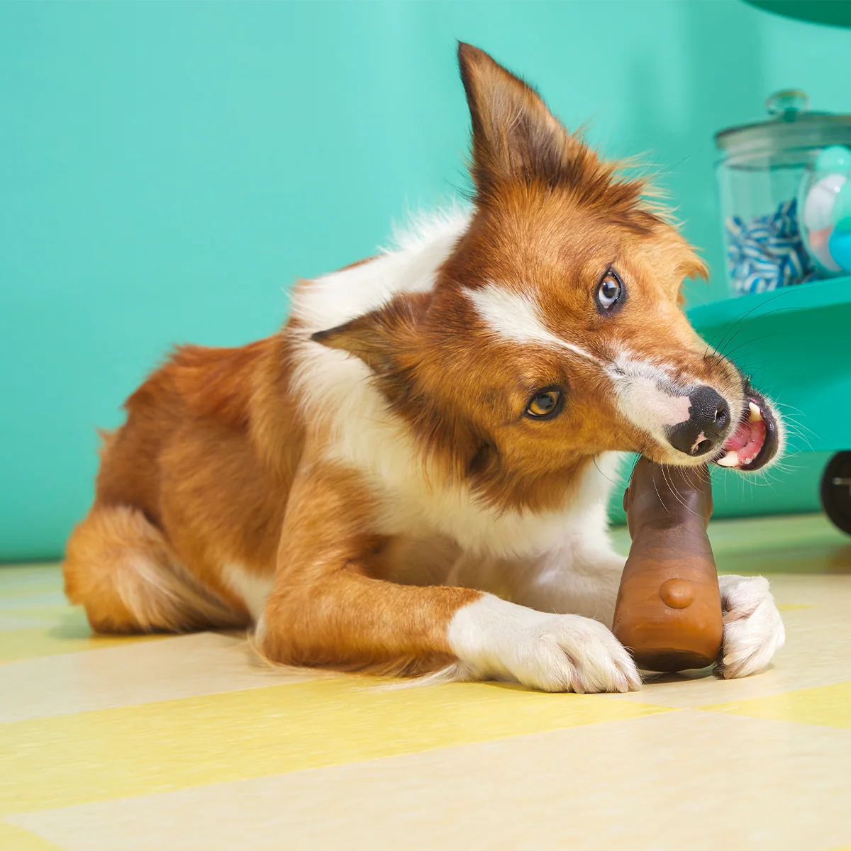 Yummy Bunny Super Chewer Durable Gnaw Dog Toy - Image 4